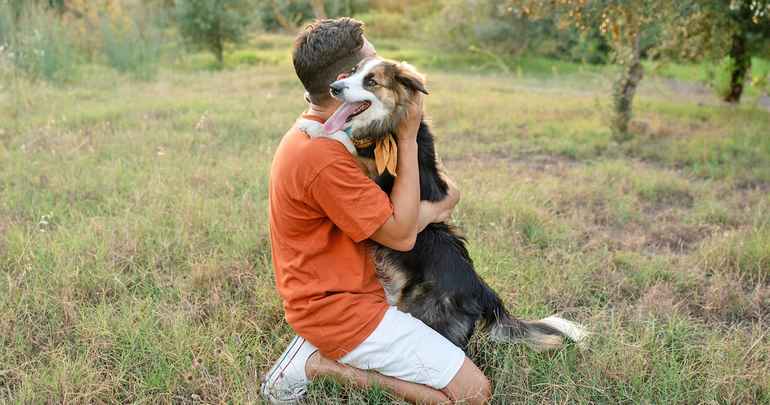 How Long Should You Wait to Get a New Dog After You’ve Lost One?