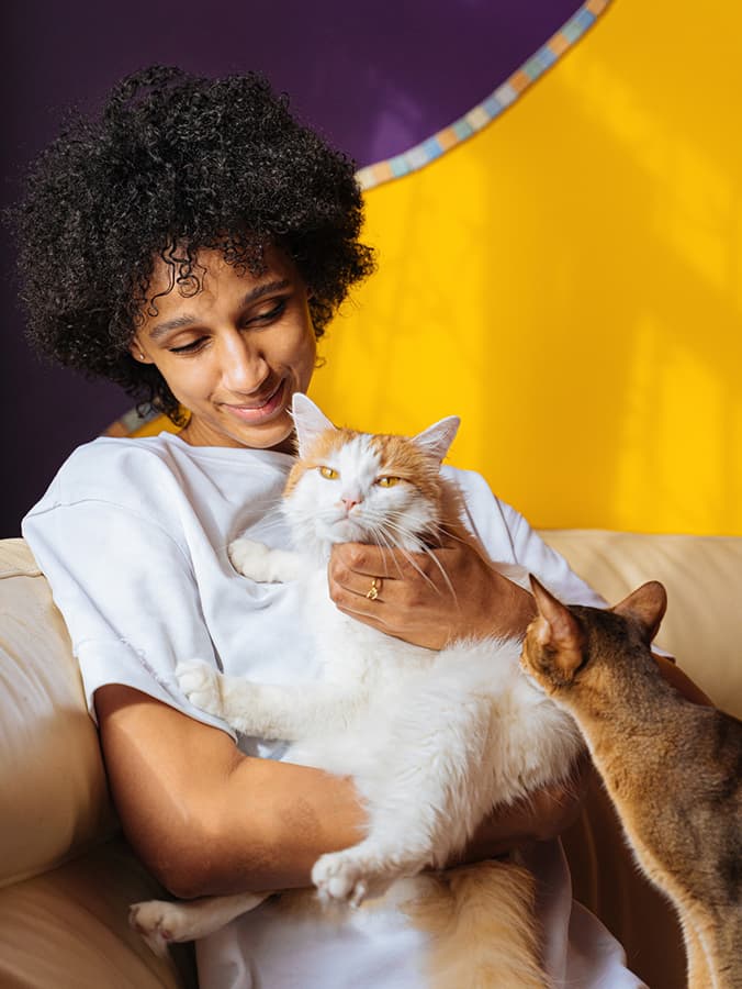 How to Build Your New Cat’s Trust in You