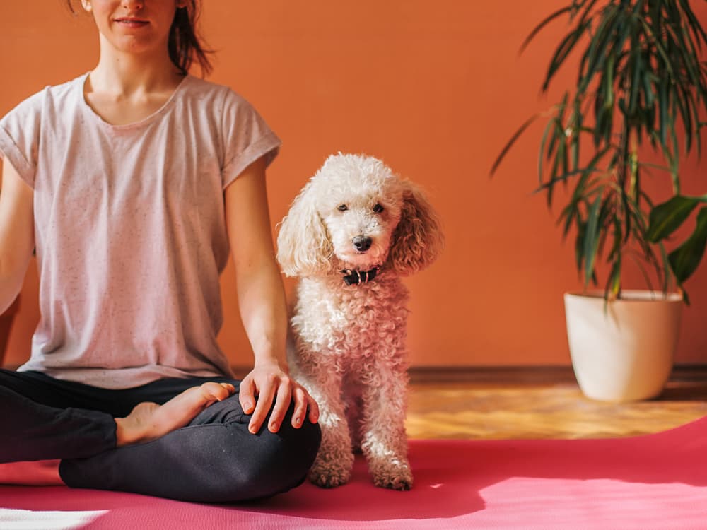 So You Want to Try Doga?