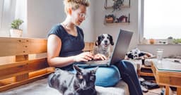 How Does Rehome Work?