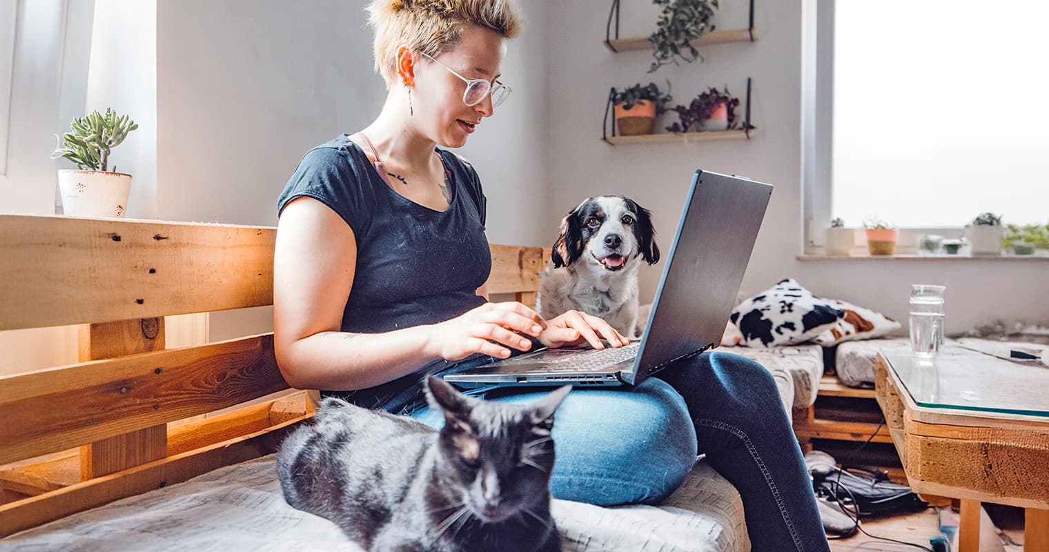 How Does Rehome Work?