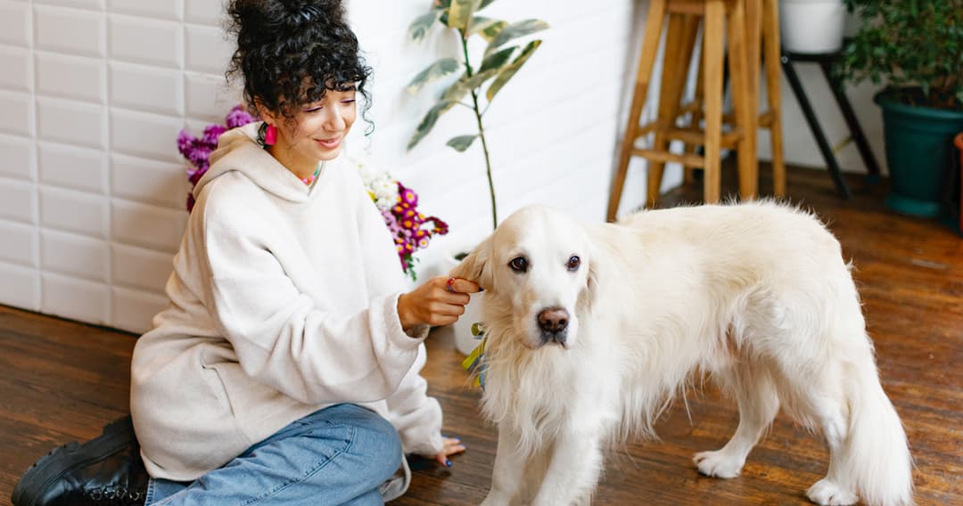 The 10 Biggest Mistakes People Make During A Dog’s First Week Home