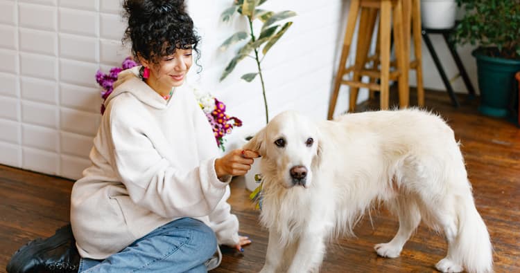 The 10 Biggest Mistakes People Make During A Dog’s First Week Home