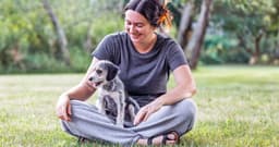 National Mutt Day: 5 Reasons Why You Should Adopt a Mutt