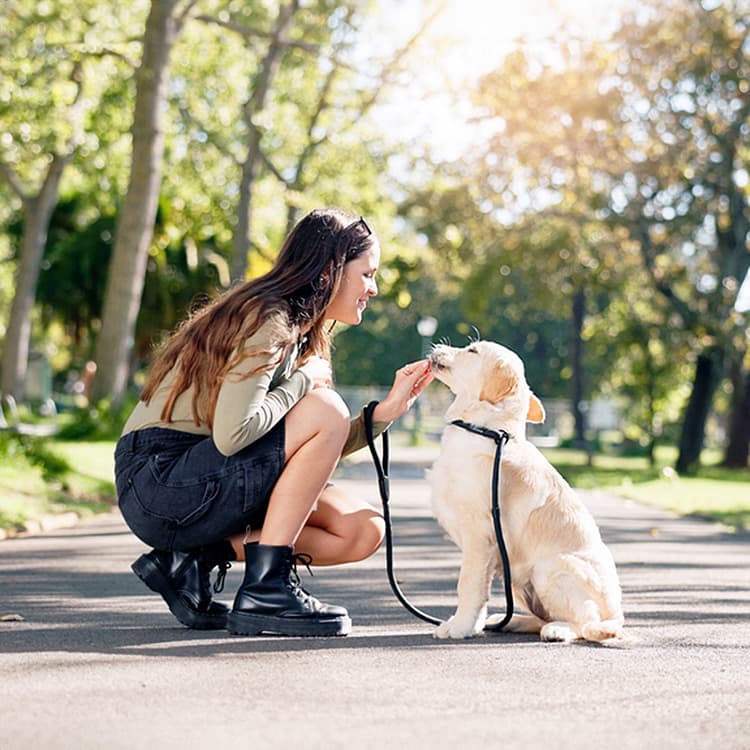 How to Reprimand Your Dog: A Guide to Positive Reinforcement