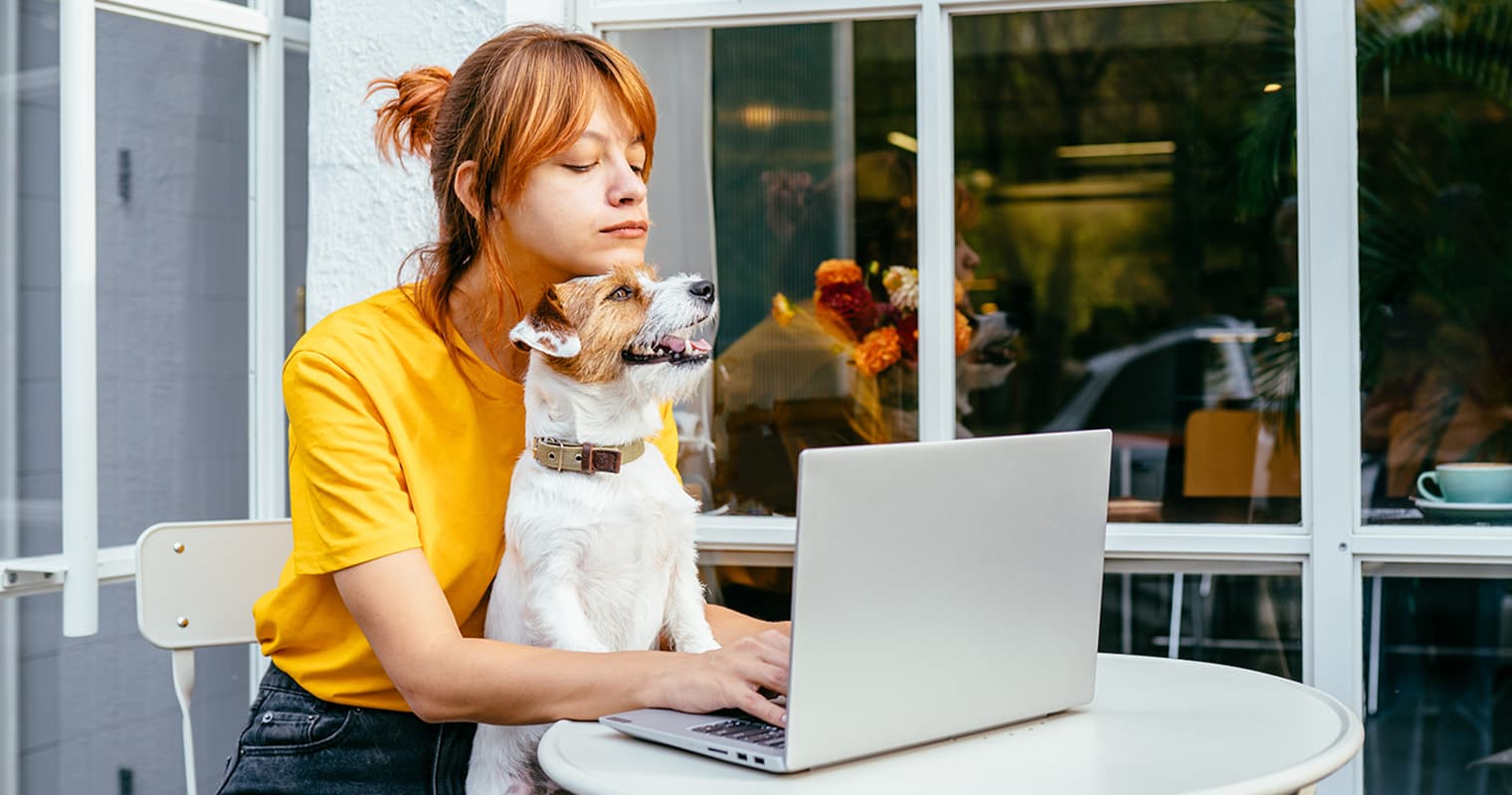 How Long Does the Humane Society Keep Jack Russell Terriers?