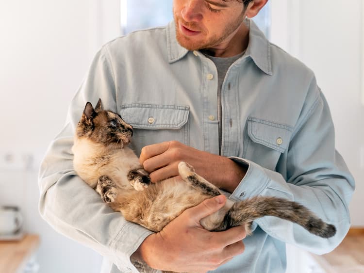 9 Ways You Can Tell If Your Cat Is Healthy
