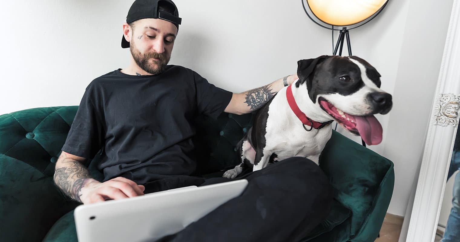 Can I Drop My Pit Bull Off at an Animal Shelter?
