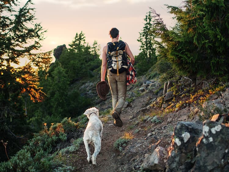 Hikes & Hops: 8 Great Dog-Friendly Spots in the Midwest