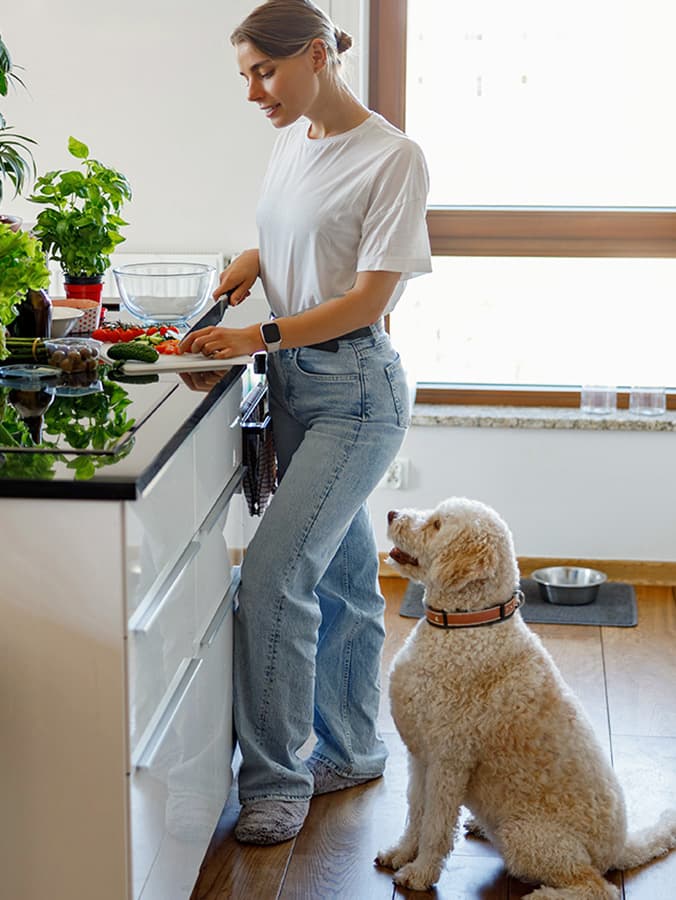 What Seasonings Can Dogs Have?