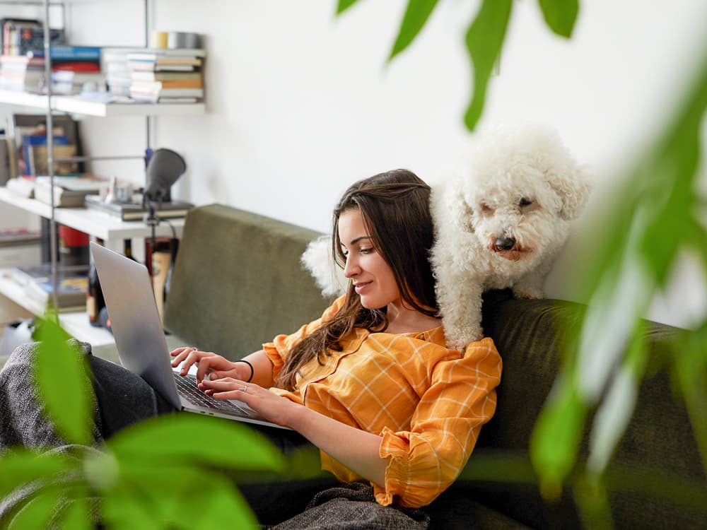 10 Best Non-Toxic House Plants for Dogs
