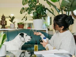 Can Dogs Take Aspirin? A Guide to Dog Pain Medication