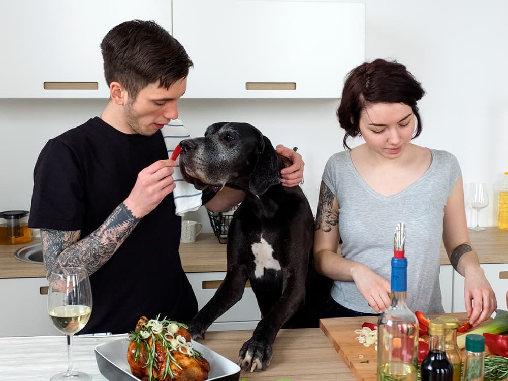 How to Shop For Healthy, Eco-Friendly Ingredients to Feed Your Dog