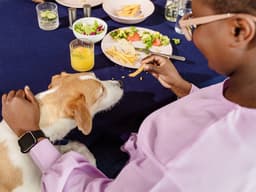 Can Dogs Eat Potatoes?