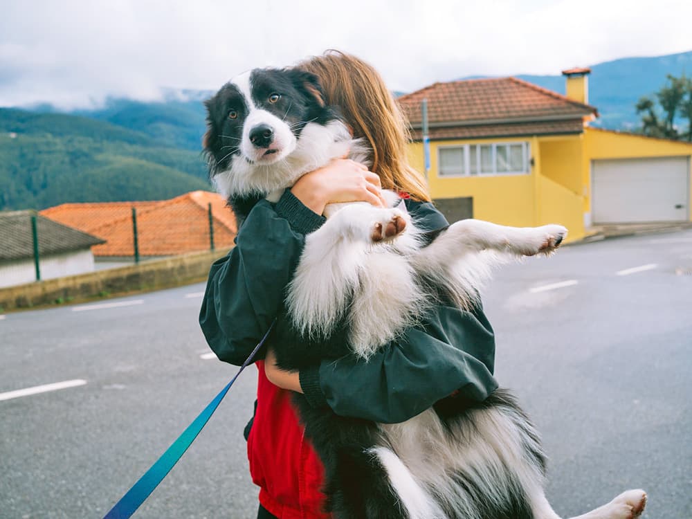 11 Ways You’re Annoying Your Dog Without Realizing It