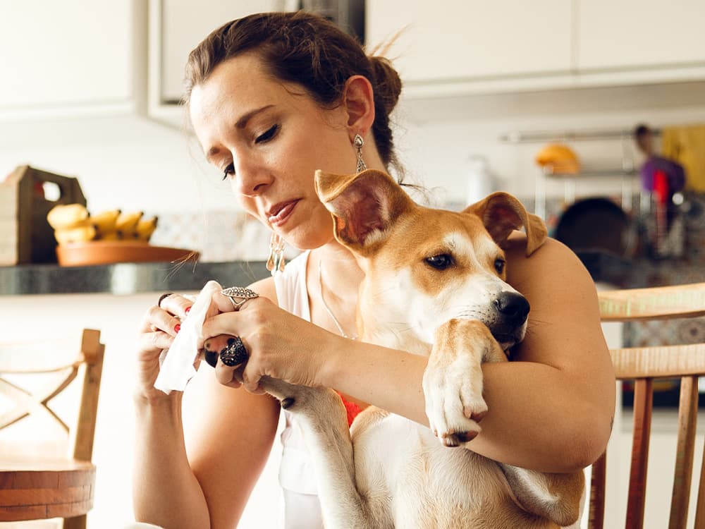 Woman cleaning her dog's paws with a wipe