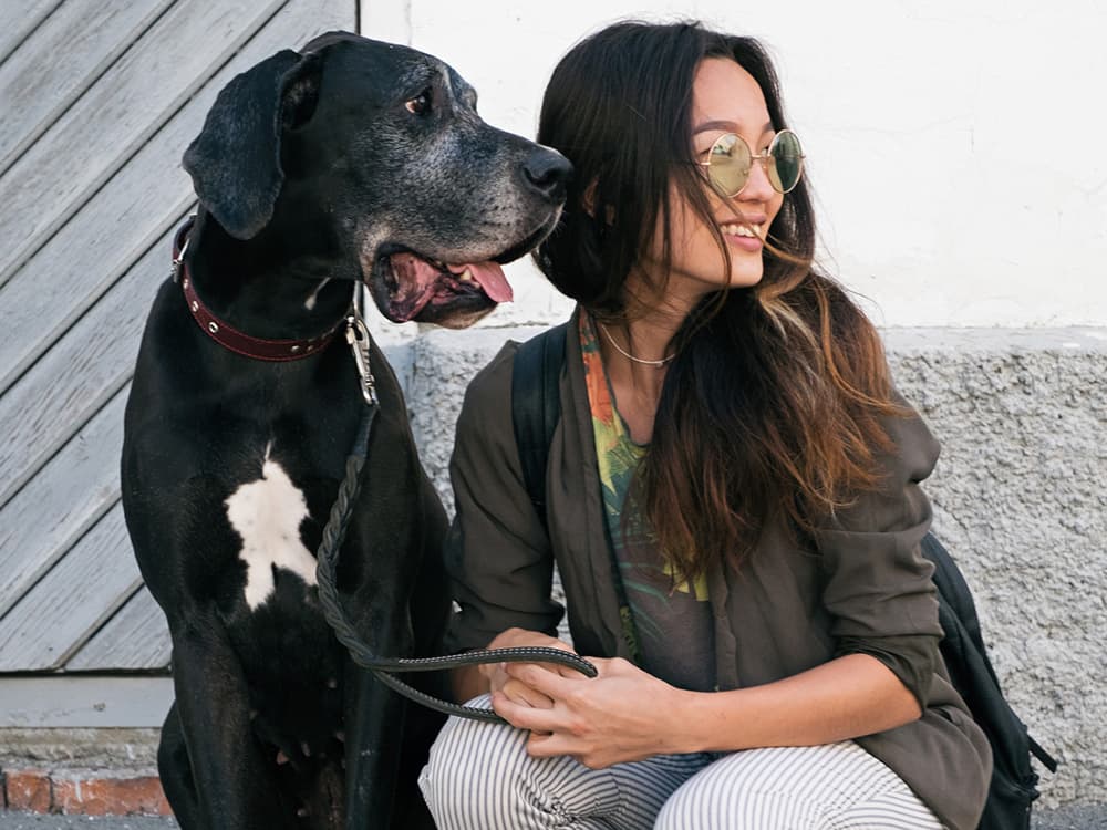 13 Giant Dogs That Will Steal Your Heart and Home