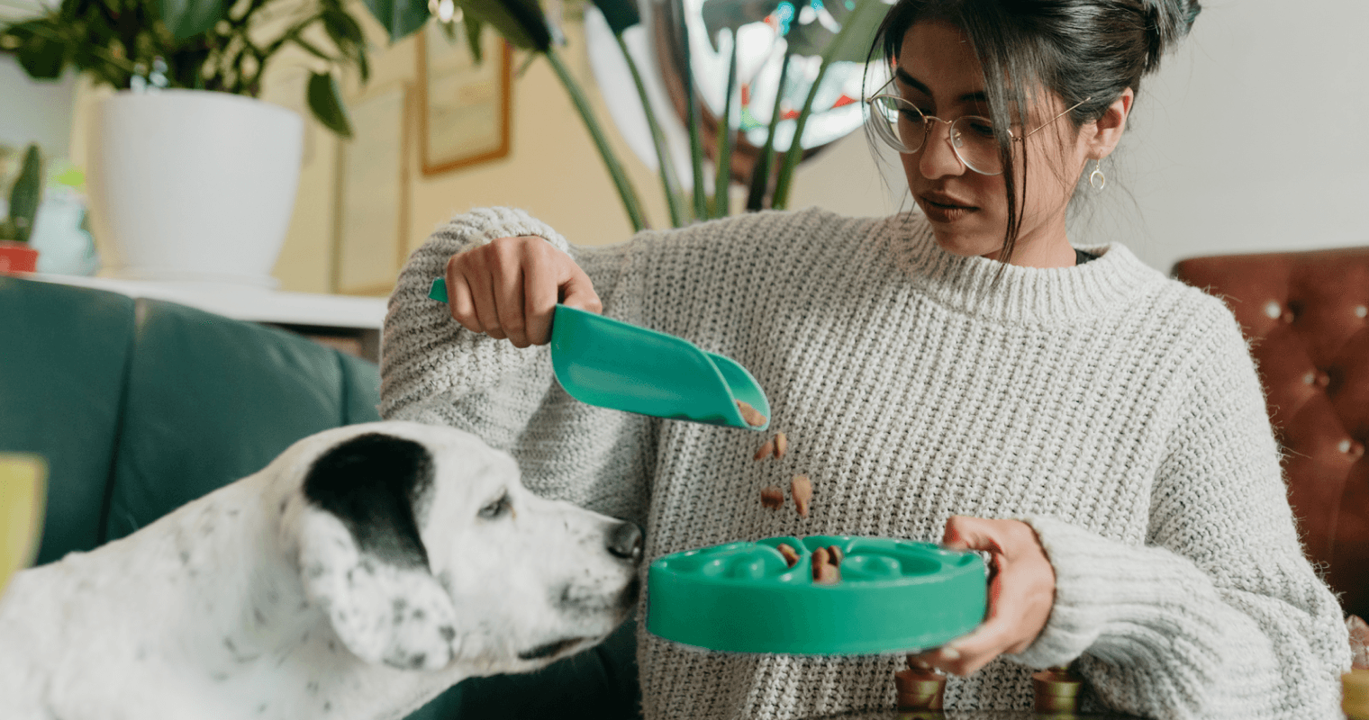 woman feeding her dog food