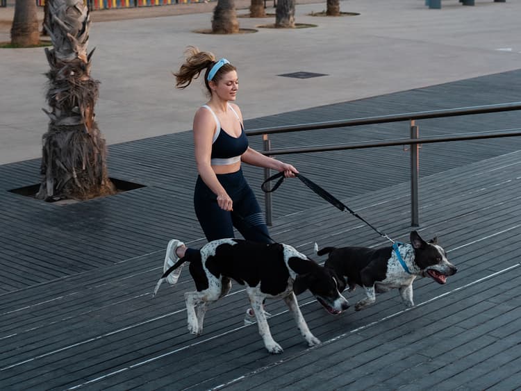 Running With Your Dog Is Possible — It Doesn’t Just Happen in Photoshoots