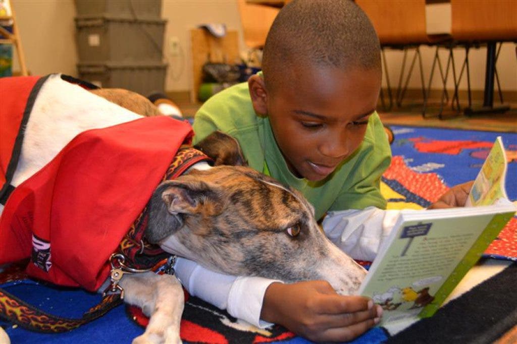 5 Places Where Therapy Dogs Do Their Best Work