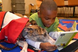 5 Places Where Therapy Dogs Do Their Best Work