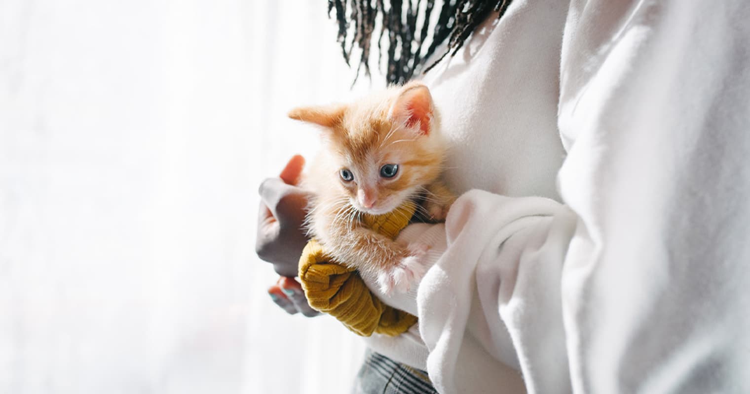 The Benefits of Fostering Pets