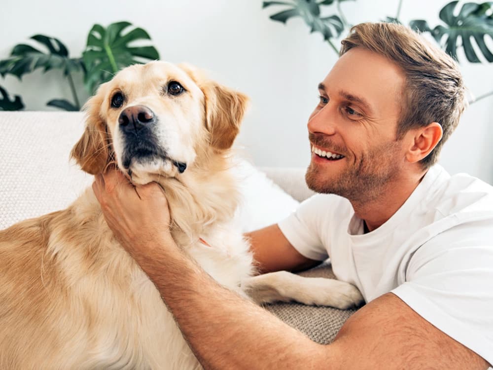 Why Do So Many Dogs Seem to Hate Men?