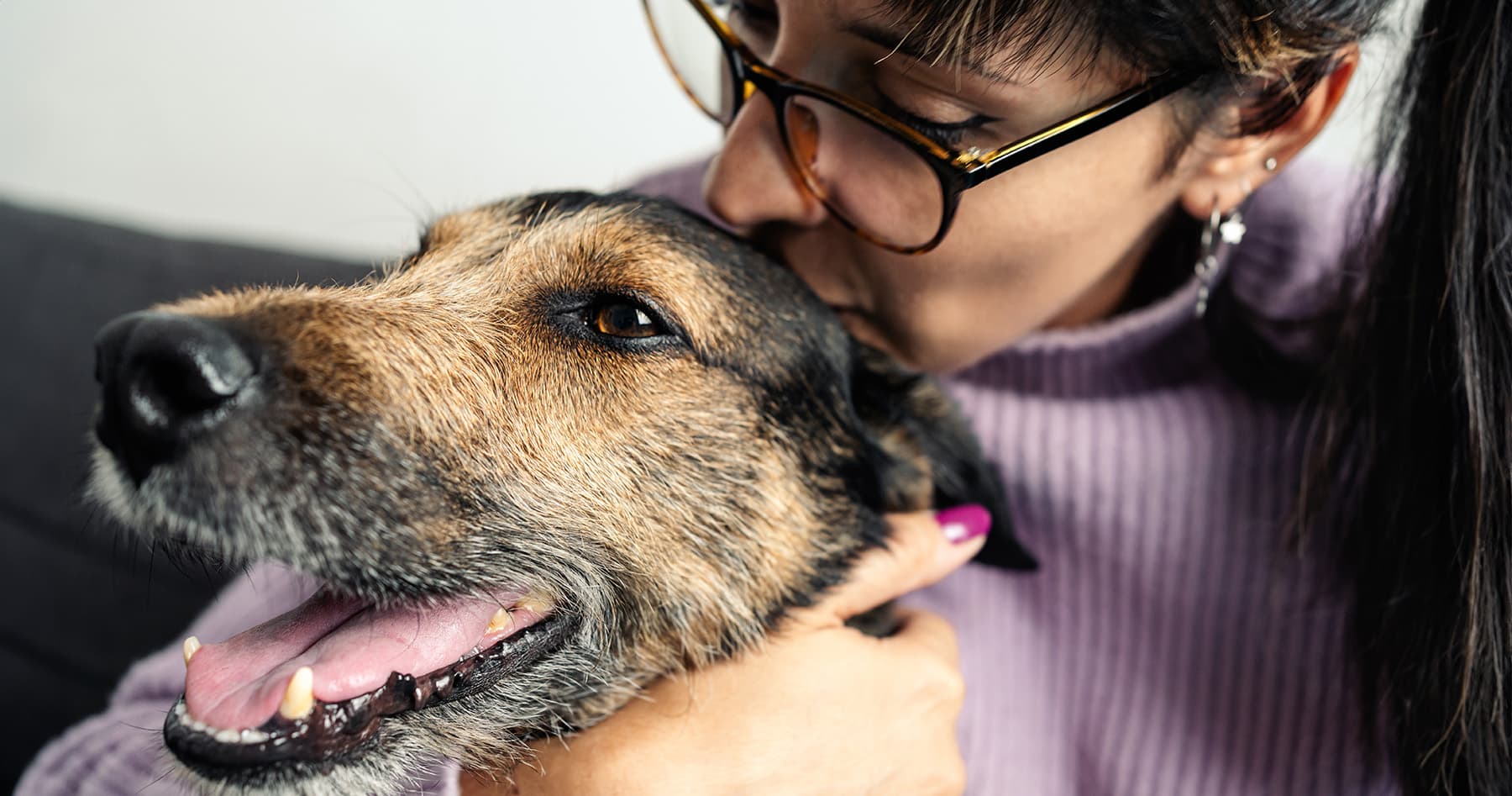 How to Help Your Dog Heal From Emotional Trauma