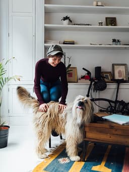 You’ve Got Company: How to Cohabitate with a New Dog