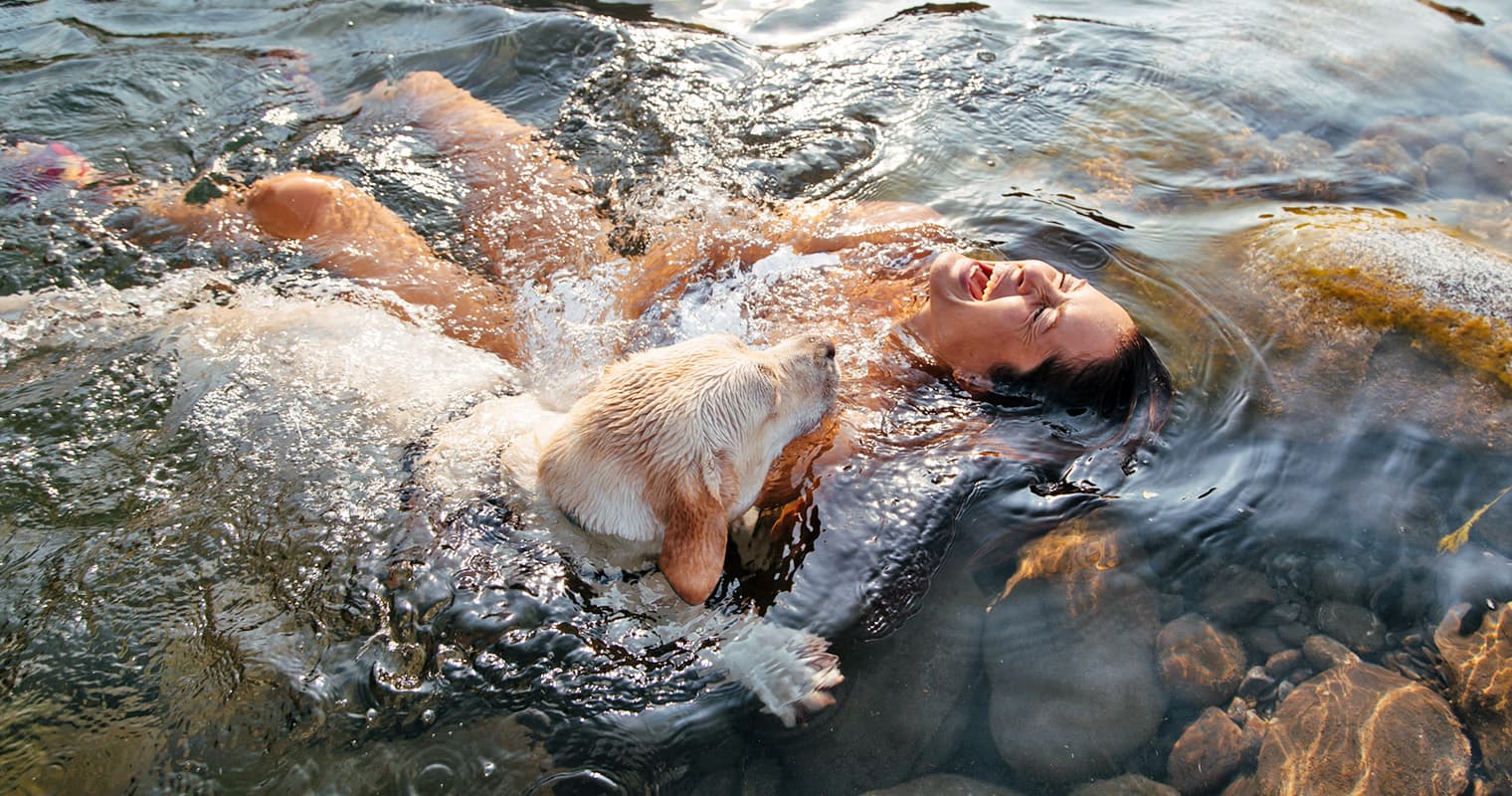 18 Dog Breeds Who Truly Love to Swim