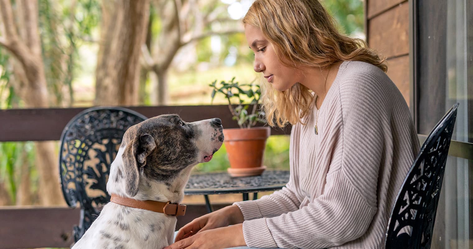 Woman staring at her large mixed breed dog outside