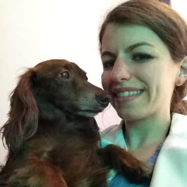 Dr. Amy Fox, DVM