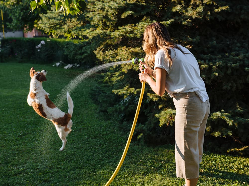 7 End-of-Summer Activities for You and Your Dog