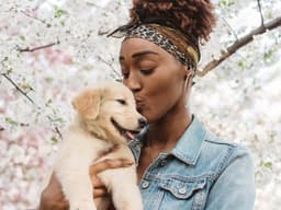 5 Development Stages You Should Know When You Get a Puppy