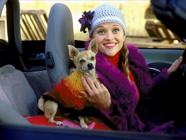 Does Your Pet Have Star Potential?