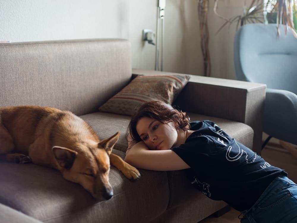 Inflation Is Causing People to Surrender Their Pets