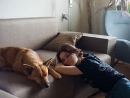 Inflation Is Causing People to Surrender Their Pets