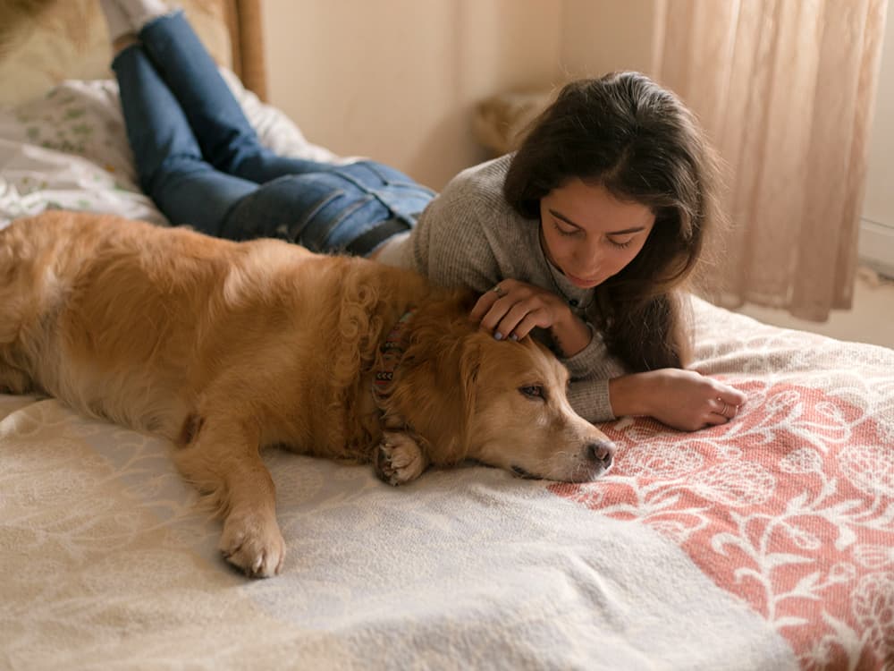 8 Practical and Healing Ways to Remember Your Pet After They Pass