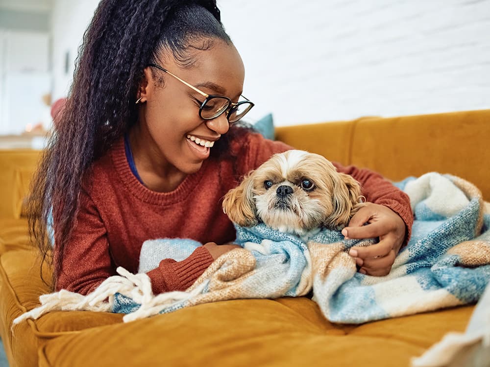 Woman with lap dog shih tzu breed on sofa