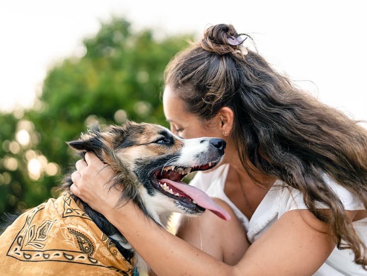 8 Signs That Show Your Dog Is Happy