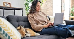 The Pet Rehoming Agreement Explained