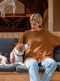 How You Say Something to Your Dog Matters More Than What You Say