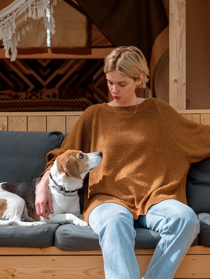 How You Say Something to Your Dog Matters More Than What You Say